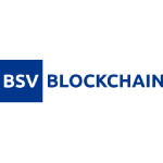 BSV Logo - Launch Dome